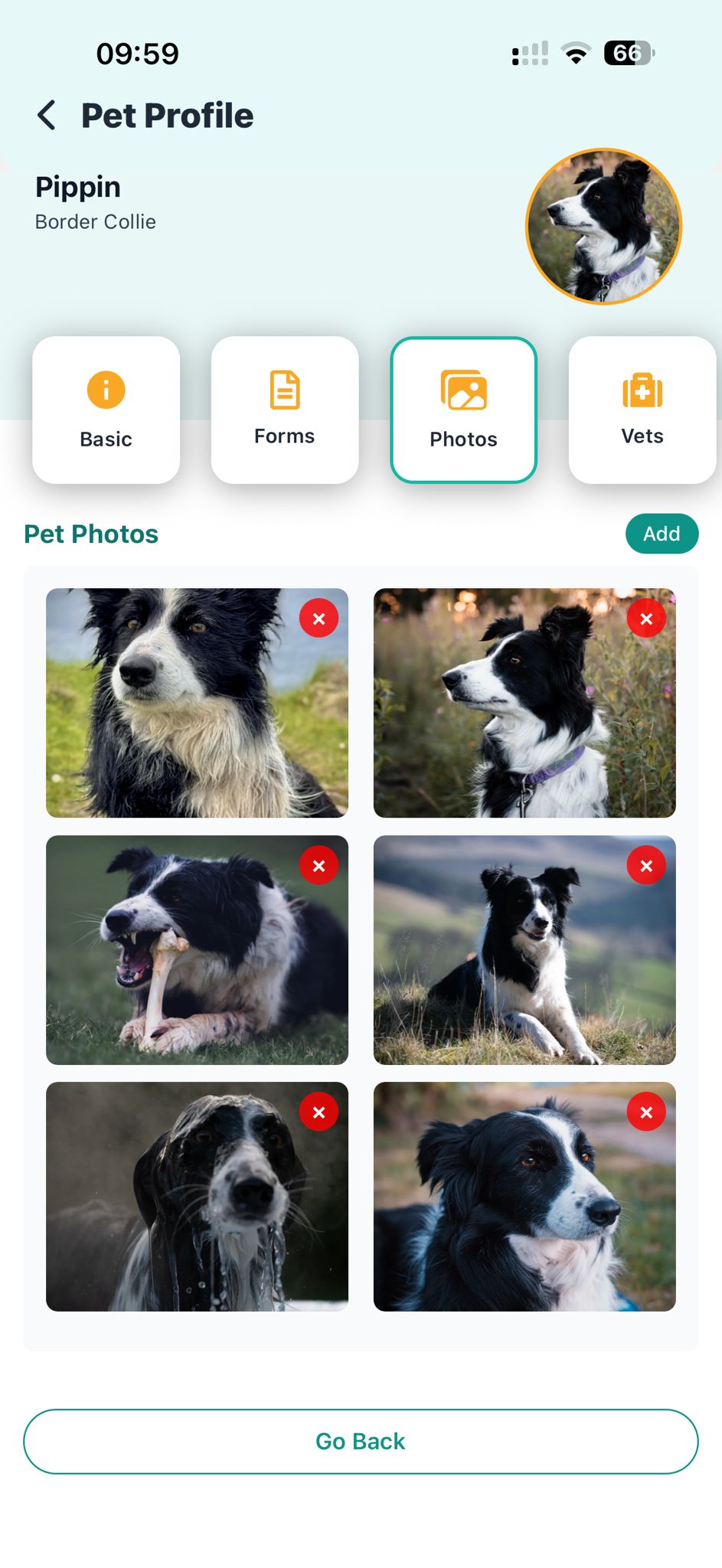 Pawtul App - Pet Profiles